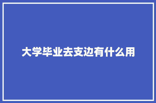 大学毕业去支边有什么用