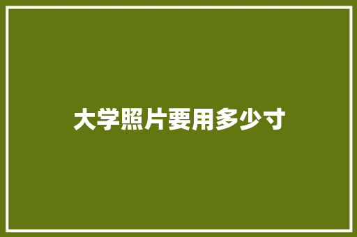 大学照片要用多少寸