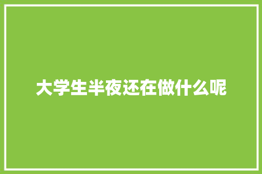 大学生半夜还在做什么呢