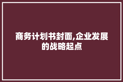 商务计划书封面,企业发展的战略起点