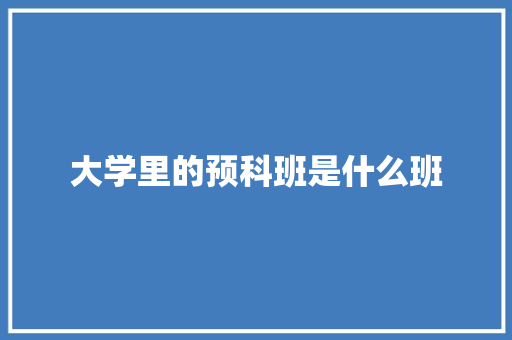 大学里的预科班是什么班
