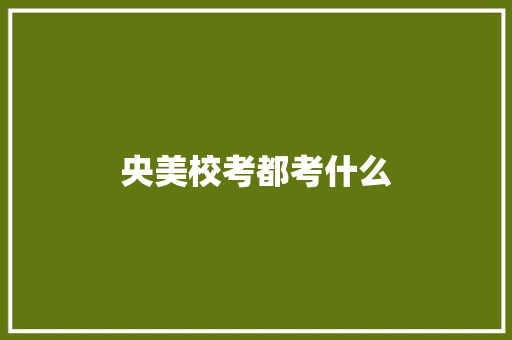 央美校考都考什么