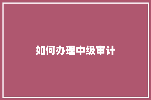 如何办理中级审计