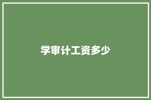 学审计工资多少