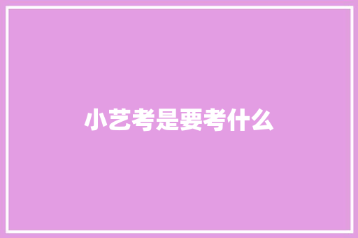 小艺考是要考什么