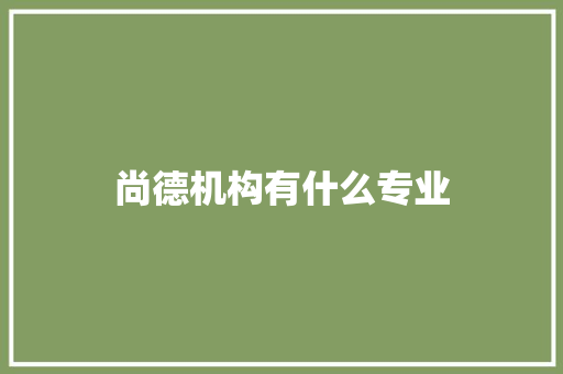 尚德机构有什么专业