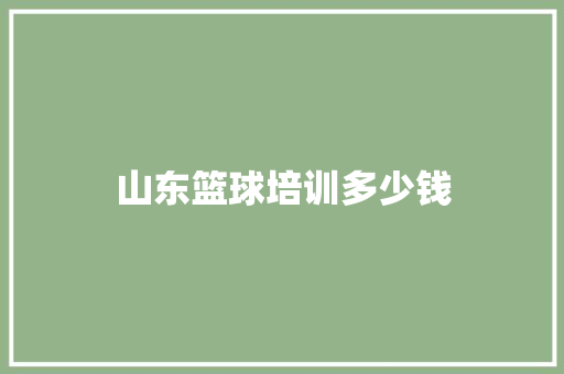 山东篮球培训多少钱