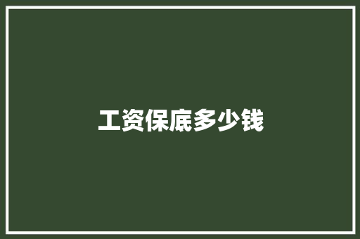 工资保底多少钱
