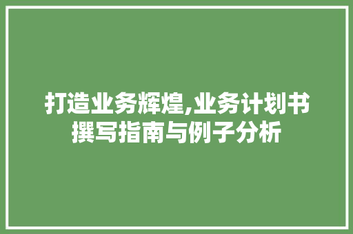 打造业务辉煌,业务计划书撰写指南与例子分析