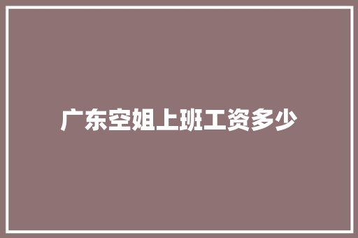 广东空姐上班工资多少