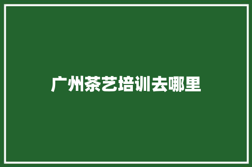 广州茶艺培训去哪里