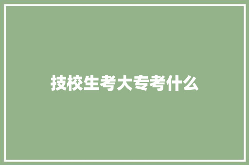 技校生考大专考什么 英语单词