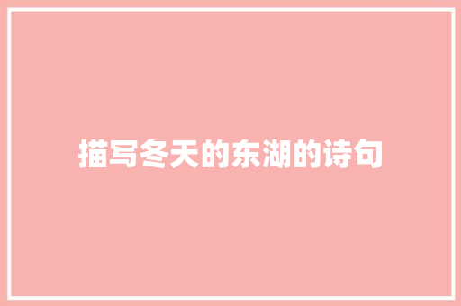 描写冬天的东湖的诗句