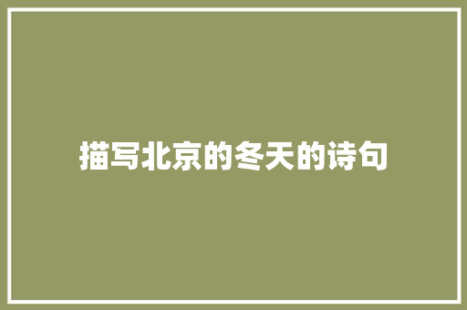 描写北京的冬天的诗句