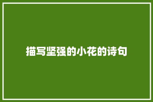 描写坚强的小花的诗句