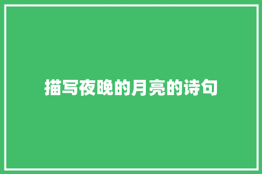 描写夜晚的月亮的诗句