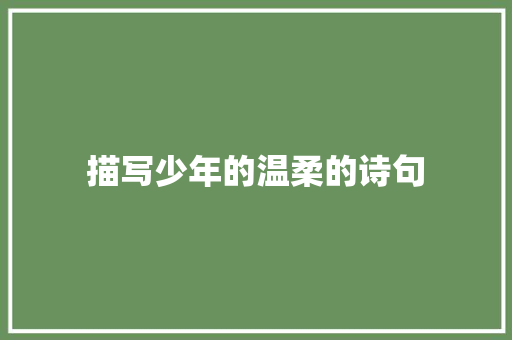 描写少年的温柔的诗句