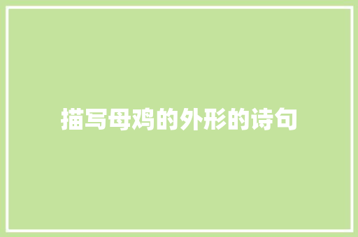 描写母鸡的外形的诗句