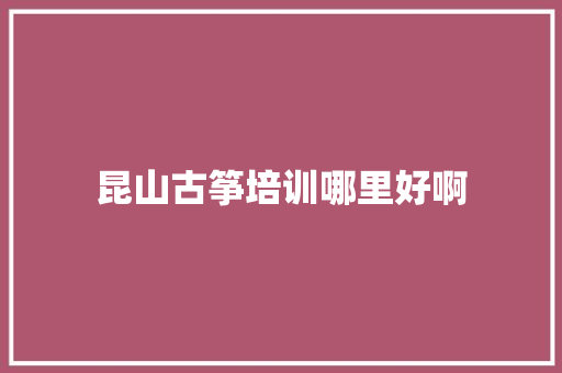 昆山古筝培训哪里好啊