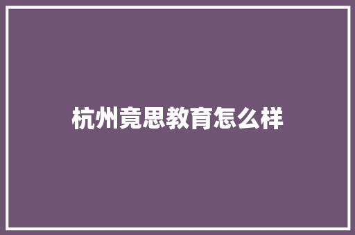 杭州竟思教育怎么样