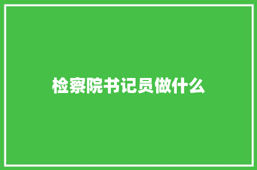检察院书记员做什么