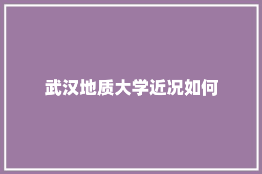 武汉地质大学近况如何