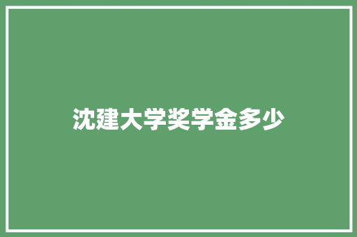 沈建大学奖学金多少
