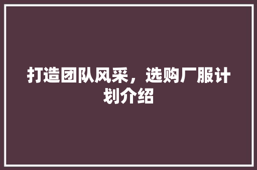 打造团队风采，选购厂服计划介绍