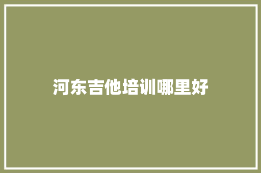 河东吉他培训哪里好