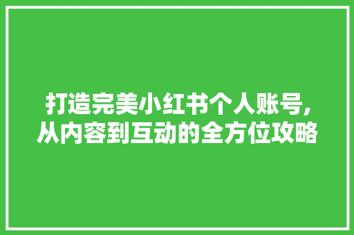 打造完美小红书个人账号,从内容到互动的全方位攻略 反义词汇
