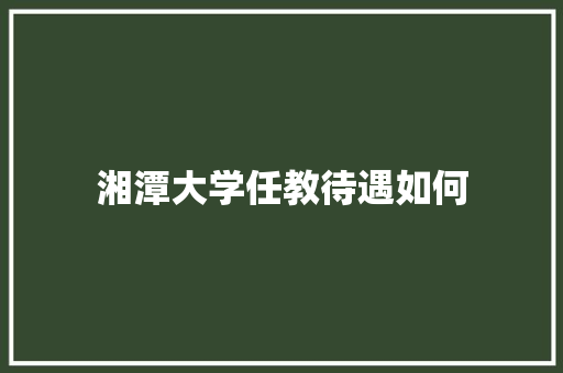 湘潭大学任教待遇如何