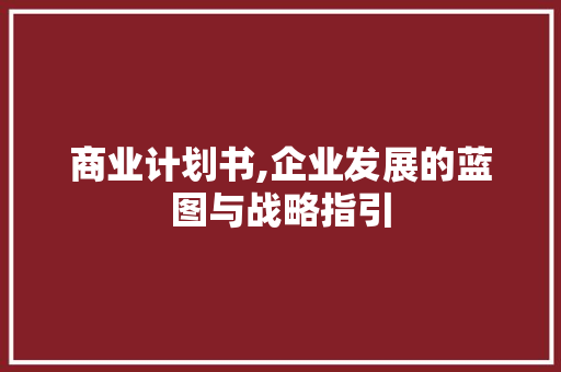 商业计划书,企业发展的蓝图与战略指引