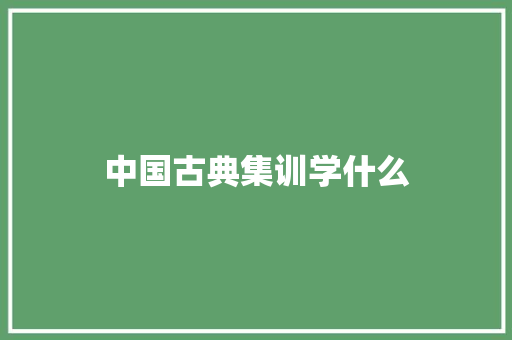 中国古典集训学什么