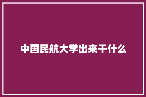 中国民航大学出来干什么