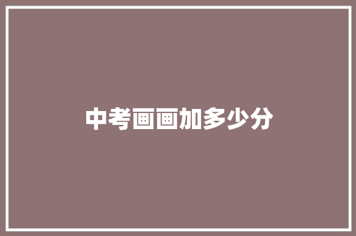 中考画画加多少分