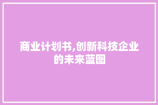商业计划书,创新科技企业的未来蓝图