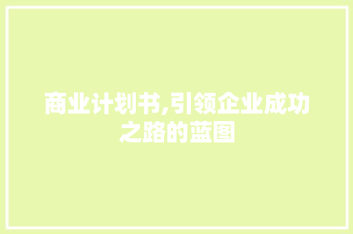 商业计划书,引领企业成功之路的蓝图