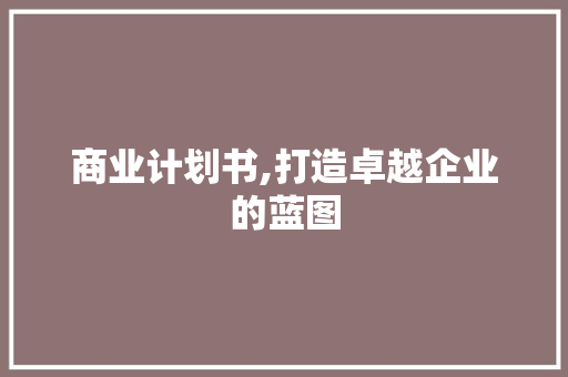 商业计划书,打造卓越企业的蓝图