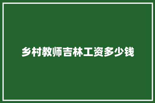乡村教师吉林工资多少钱