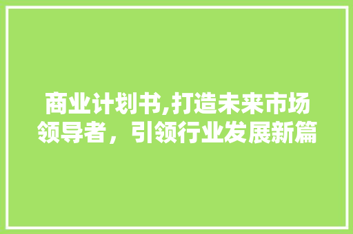 商业计划书,打造未来市场领导者，引领行业发展新篇章