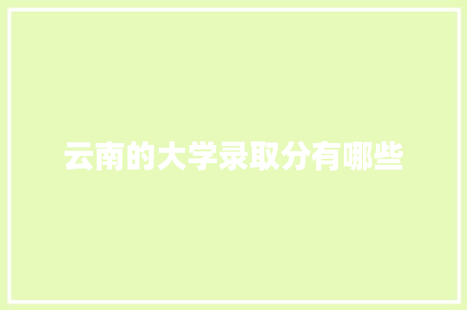 云南的大学录取分有哪些