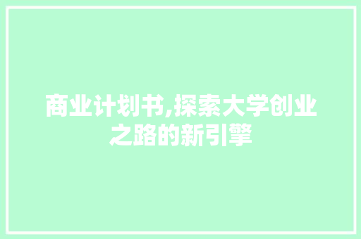 商业计划书,探索大学创业之路的新引擎 汉字拼音