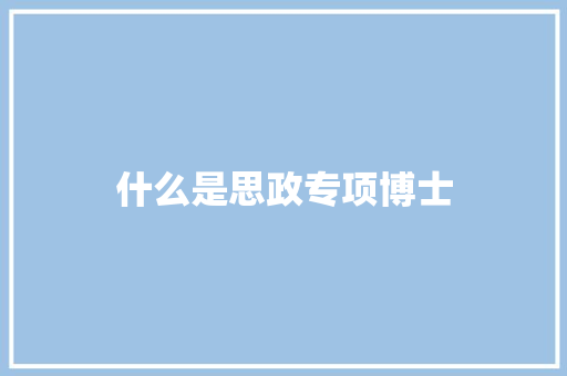什么是思政专项博士