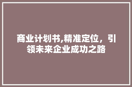 商业计划书,精准定位，引领未来企业成功之路
