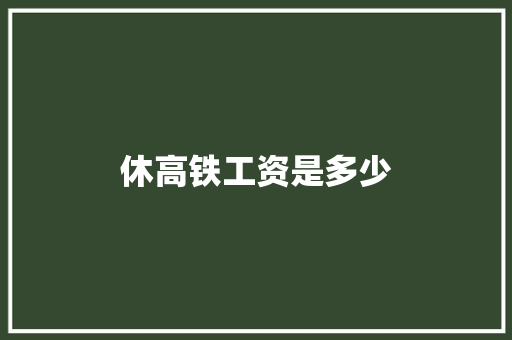 休高铁工资是多少