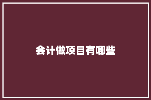 会计做项目有哪些