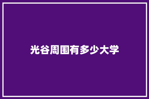 光谷周围有多少大学