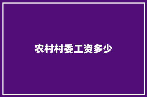 农村村委工资多少
