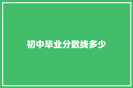 初中毕业分数线多少