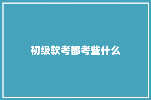 初级软考都考些什么